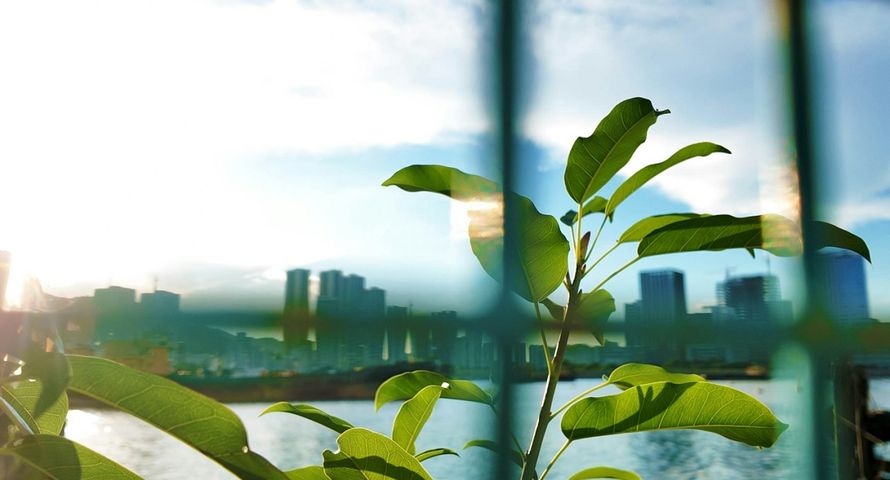 Firmy w Polsce szykują standardy komunikacji ESG. Przez anty-greenwashing
