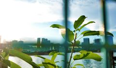 Firmy w Polsce szykują standardy komunikacji ESG. Przez anty-greenwashing