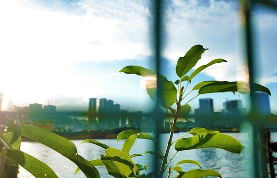 Firmy w Polsce szykują standardy komunikacji ESG. Przez anty-greenwashing