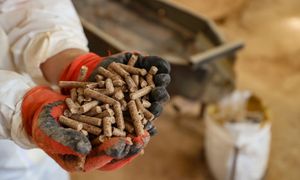 Pompy ciepła zdetronizowane. Oto nowy król ogrzewania