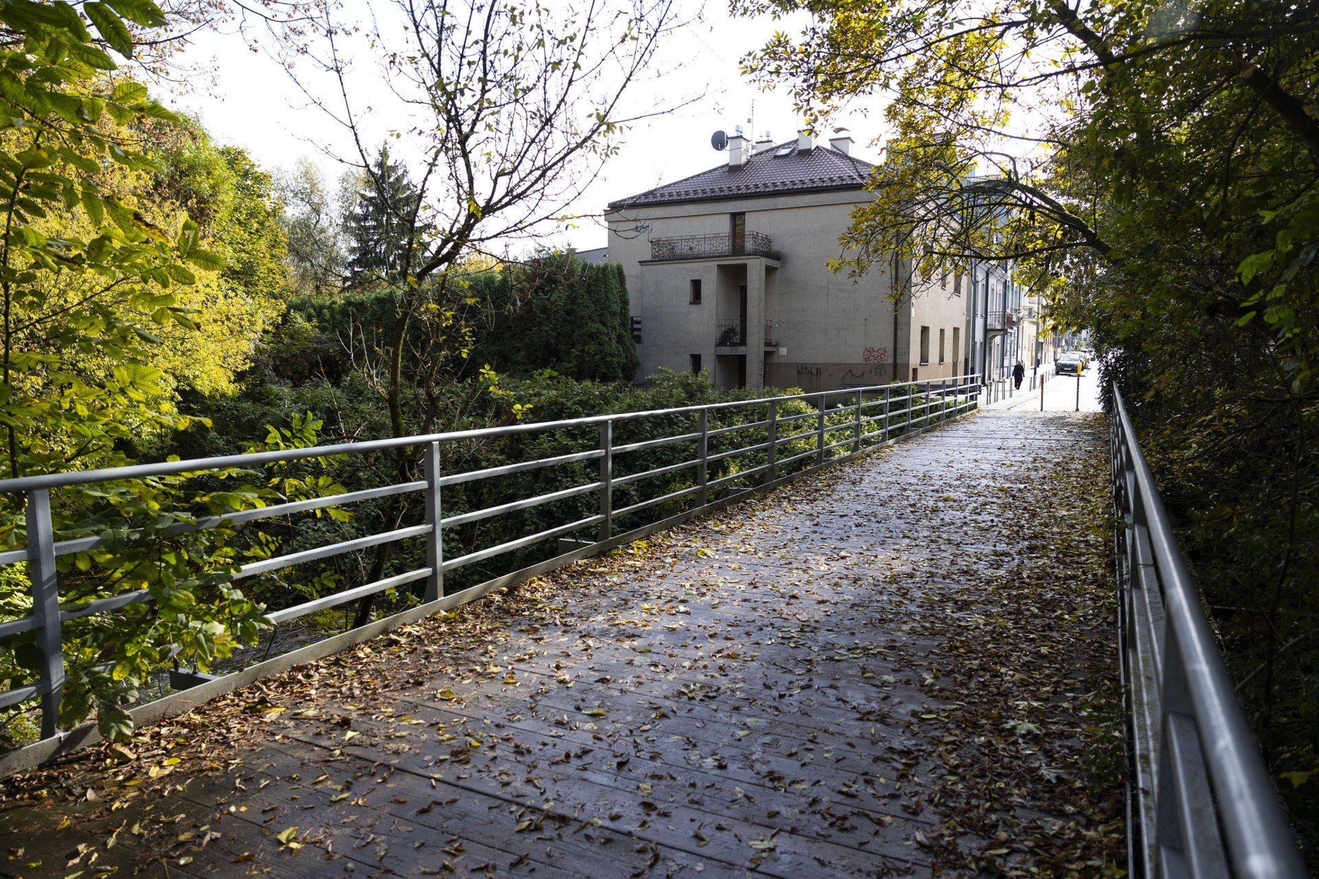 Tereny nad Białuchą w Krakowie, Grzegórzki, Olsza