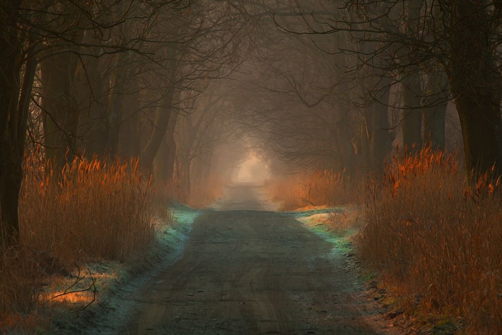 Mimo cyfryzacji świata Marka w jego szufladzie wciąż drzemie wysłużony Pentax ES z legendarnym Takumarem 50 mm f/1.4, po którego sięga, by przypomnieć sobie czasy jego świetności.