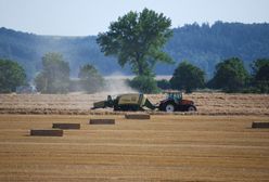 Dopłaty 2020. Koniec terminu na składanie wniosków o przyznanie dopłat bezpośrednich