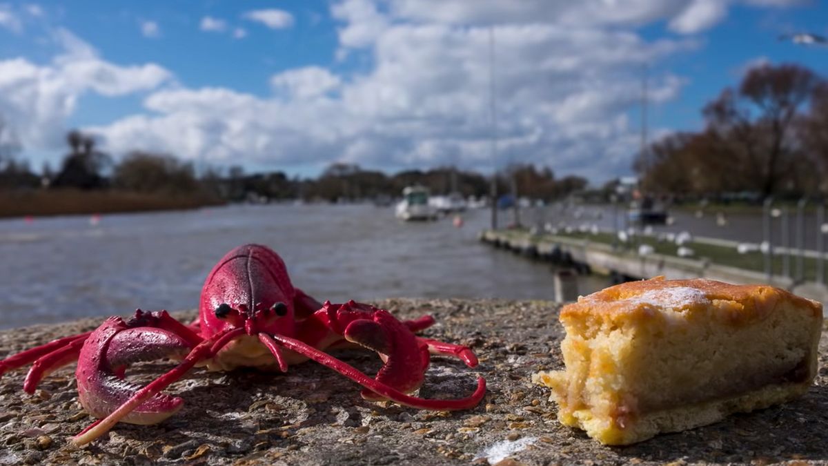 Musisz usłyszeć te słowa, jeśli jesteś początkującym fotografem 1
