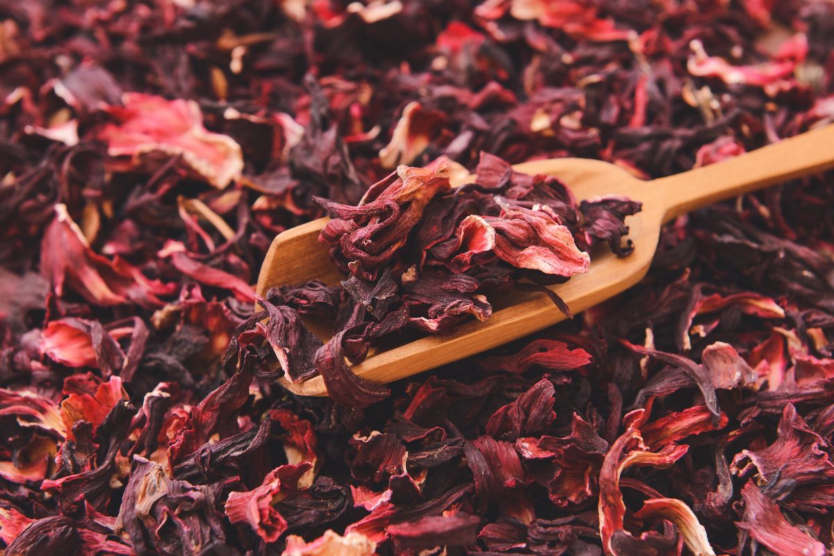 Czerwona herbata to bogate źródło licznych składników odżywczych