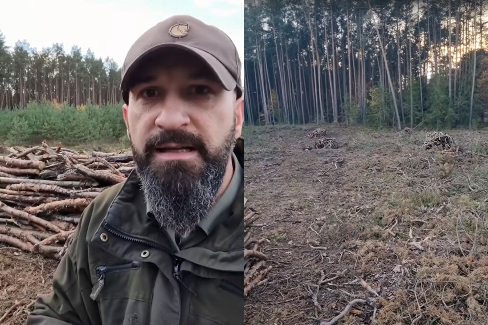 Jak zdobyć w lesie tanie drewno na opał na zimę? Leśnik tłumaczy