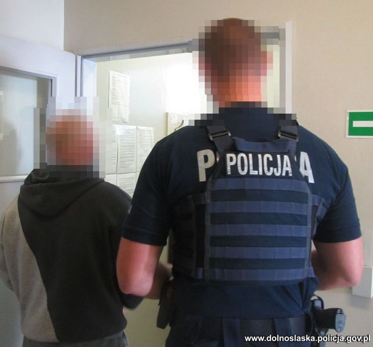 policja zatrzymanie