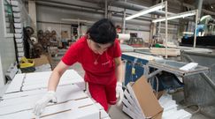 Cenowe szaleństwo nikogo nie odstrasza. Pełne moce produkcyjne w polskich fabrykach