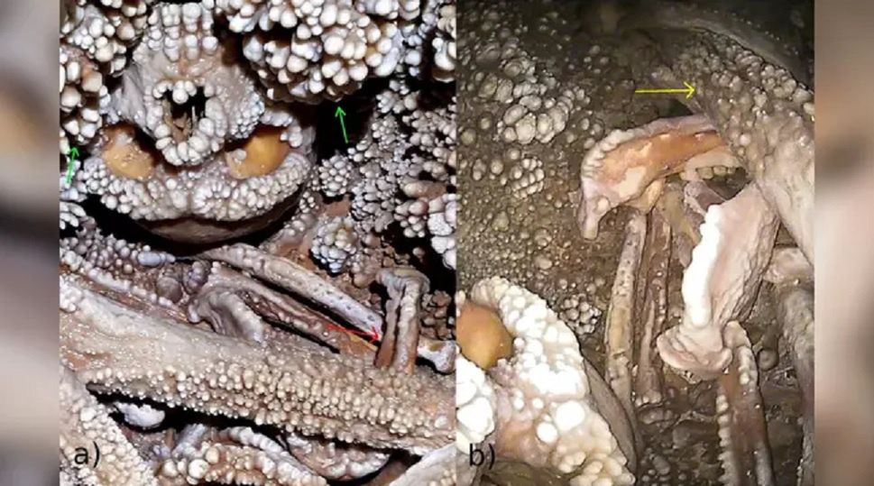 Southern Italy's 150,000-year-old Neanderthal mystery. Unearthing the Altamura man
