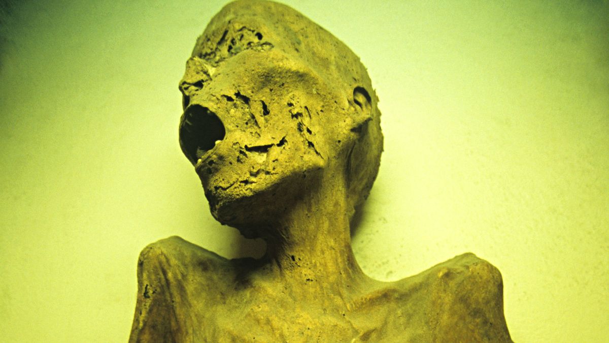 Starożytna mumia z muzeum w Meksyku. Zdjęcie ilustracyjne.