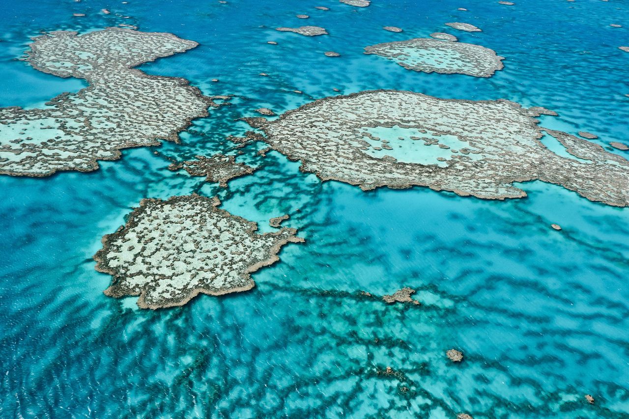 Das Great Barrier Reef von oben gesehen