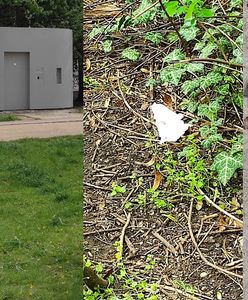 Wróciła z parku. Od razu wywołała burzę wśród matek