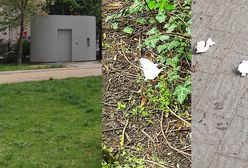 Wróciła z parku. Od razu wywołała burzę wśród matek