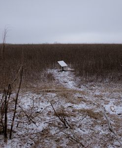 Wywiad potwierdza. Rosjanie używają Starlinków