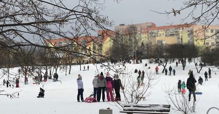 Dzieci jeżdżą na sankach, górki są oblegane. "Wreszcie jest okazja do zabawy"