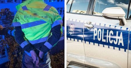 Kradzież w markecie budowlanym w Płocku. Policjant po służbie ruszył w pościg za 32-latkiem. Odzyskano sprzęt wart prawie 2300 zł!