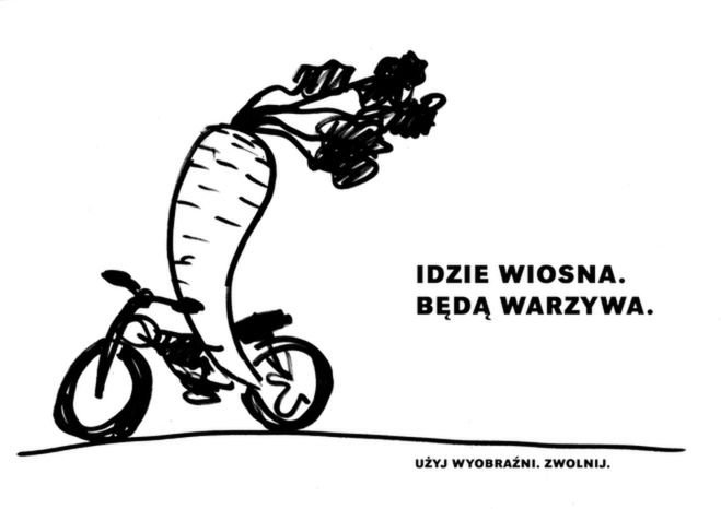 Warzywa się skończyły, czy dopiero zaczynają?