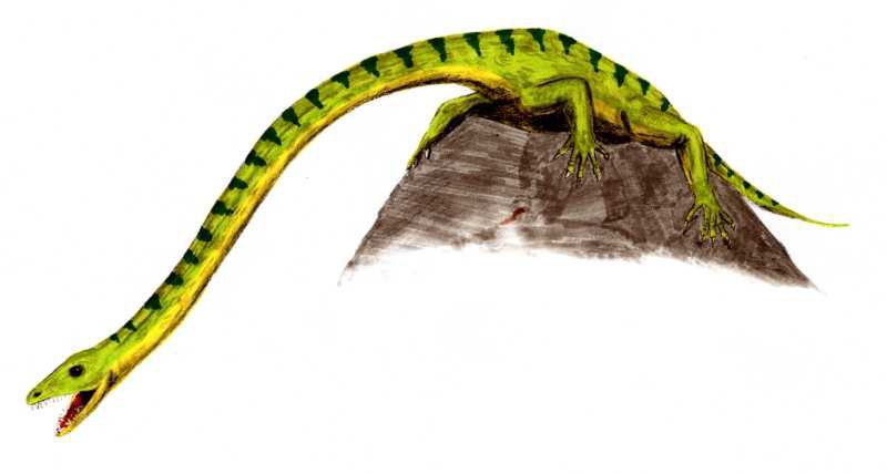 Dinozaur o niezwykle długiej szyi. Naukowcy rozwikłali zagadkę