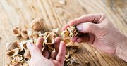 Jak wykorzystać łupiny orzechów? Oto cztery sposoby