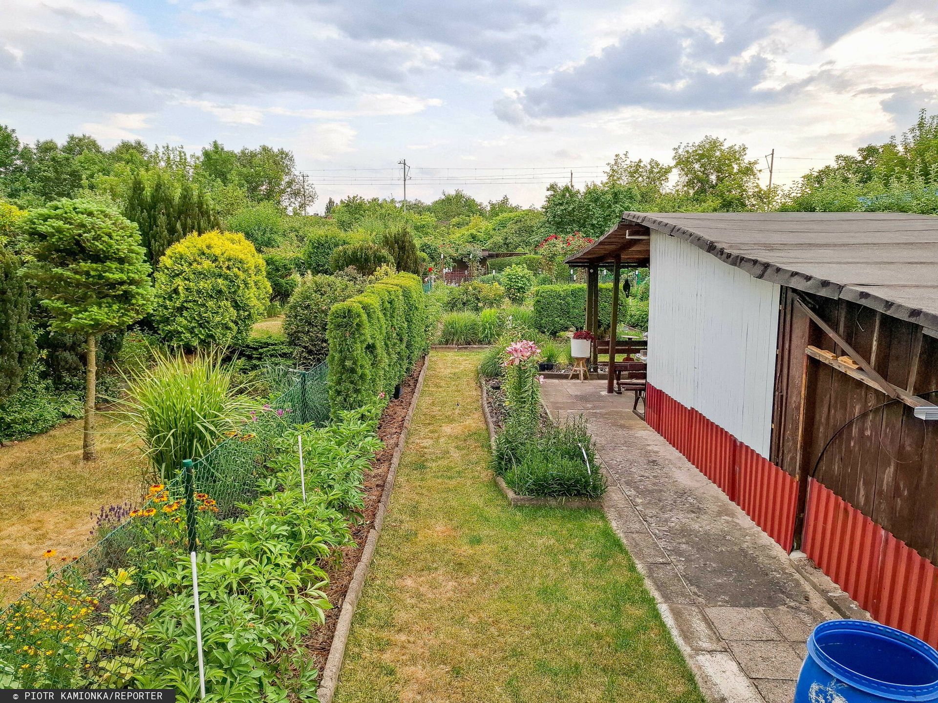 Zrobisz tak na działce i już tam nie wejdziesz. Bolesne konsekwencje