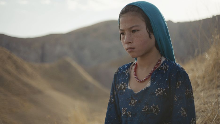 Kadr z filmu "Woolf and sheep"