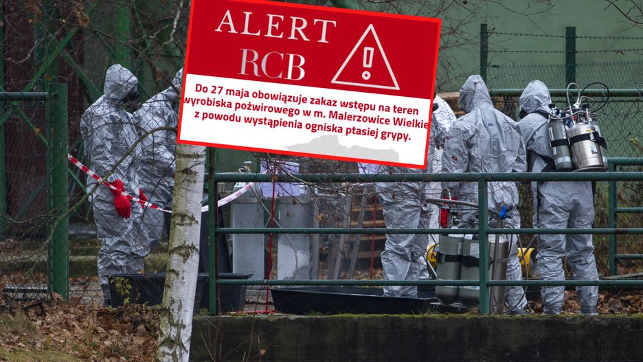 Ptasia grypa H5N1. Eksperci alarmują