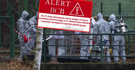 Nowa mutacja H5N1 rozlewa się po kraju. Alarmujące doniesienia