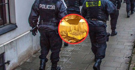 Weszli do pomieszczenia ukrytego w szafie. Niecodzienne odkrycie w Nowym Targu