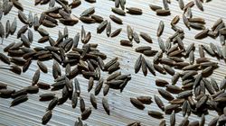 Mała przyprawa, duży porządek w jelitach. Warto dodawać do potraw