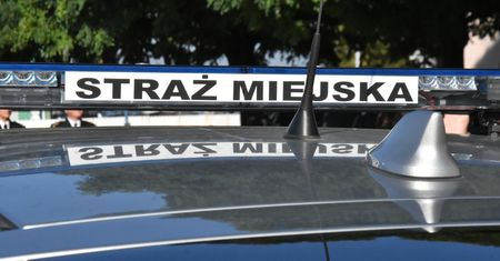 Nowe uprawnienia straży miejskiej. Będą mandaty na 1500 złotych