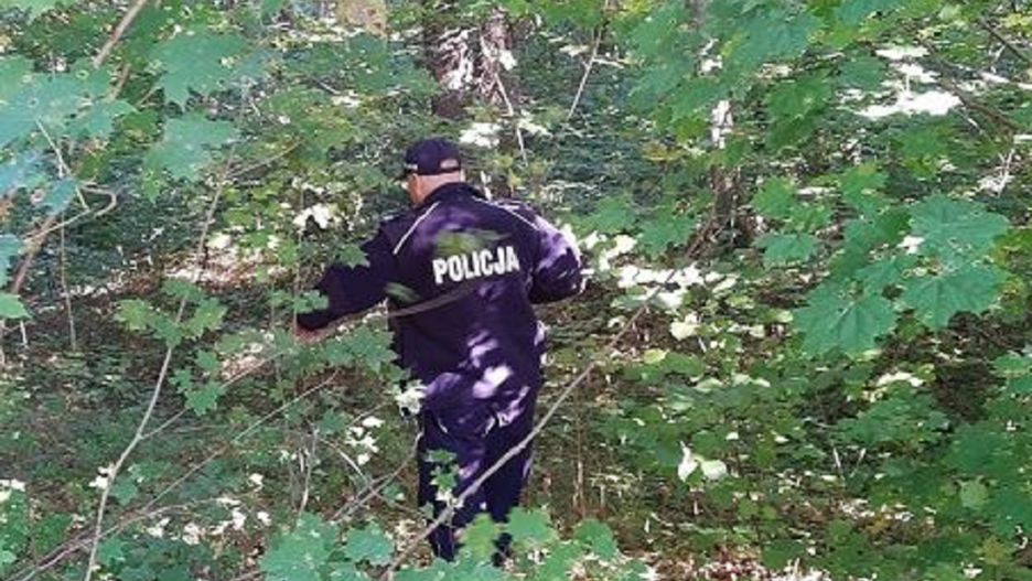 Poszedł do lasu na grzyby i nie wrócił 