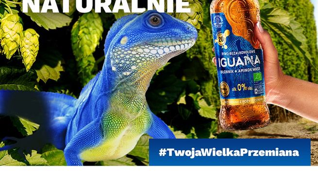 K+Group pracuje dla marki piwa Iguana