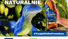 K+Group pracuje dla marki piwa Iguana