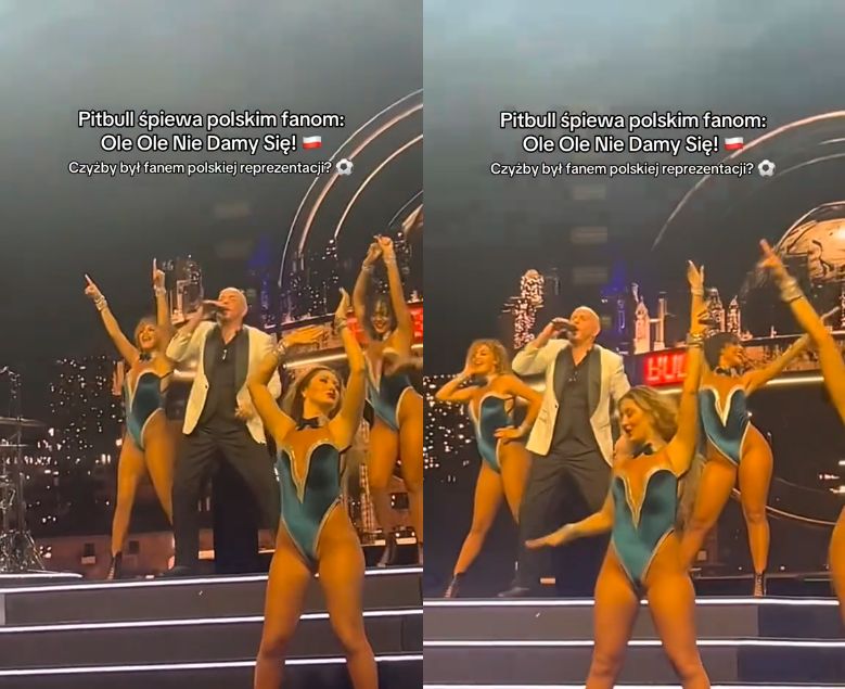 Pitbull w Polsce