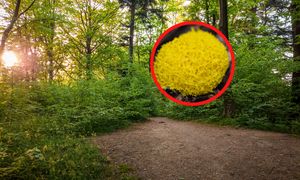 40 lat stażu. Coś takiego ujrzała pierwszy raz. "Potrafi się ruszać"