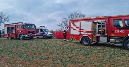 Nieszczęśliwy wypadek podczas porządków na działce. Na mężczyznę spadło drzewo