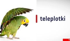 "Teleplotki" od pół roku na antenie. Taką widownię gromadzi program TVP Info