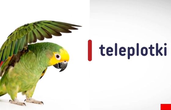 "Teleplotki" od pół roku na antenie. Taką widownię gromadzi program TVP Info