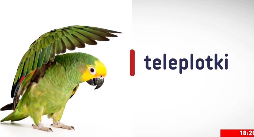 "Teleplotki" od pół roku na antenie. Taką widownię gromadzi program TVP Info