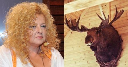 Magda Gessler idzie na wojnę ze Schroniskiem Bukowina. Wysłała pozew i chce odzyskać... GŁOWĘ ŁOSIA