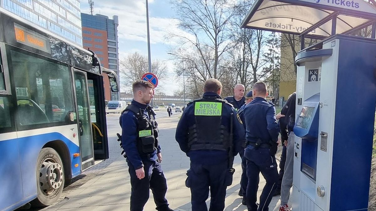 Urządzili sobie imprezę w autobusie