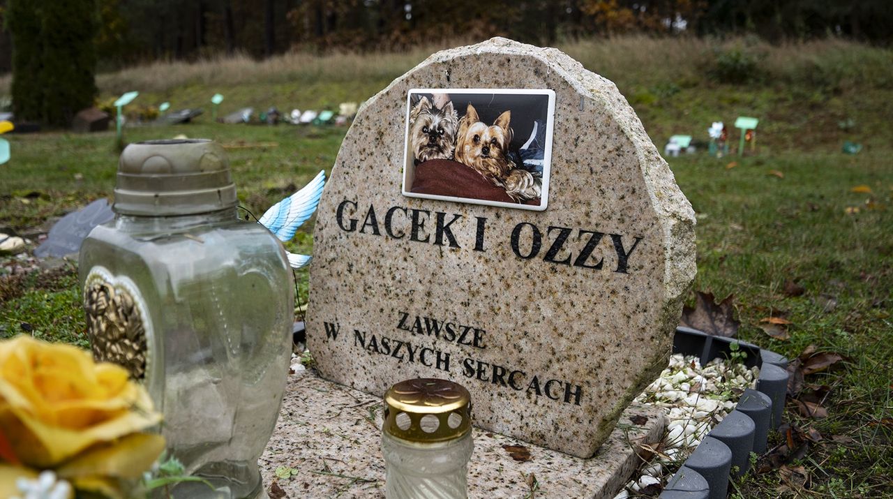 Niezwykły cmentarz dla zwierząt w Pile-Leszkowie
