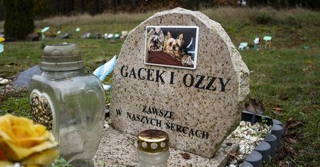 Niezwykły cmentarz dla zwierząt w Pile-Leszkowie
