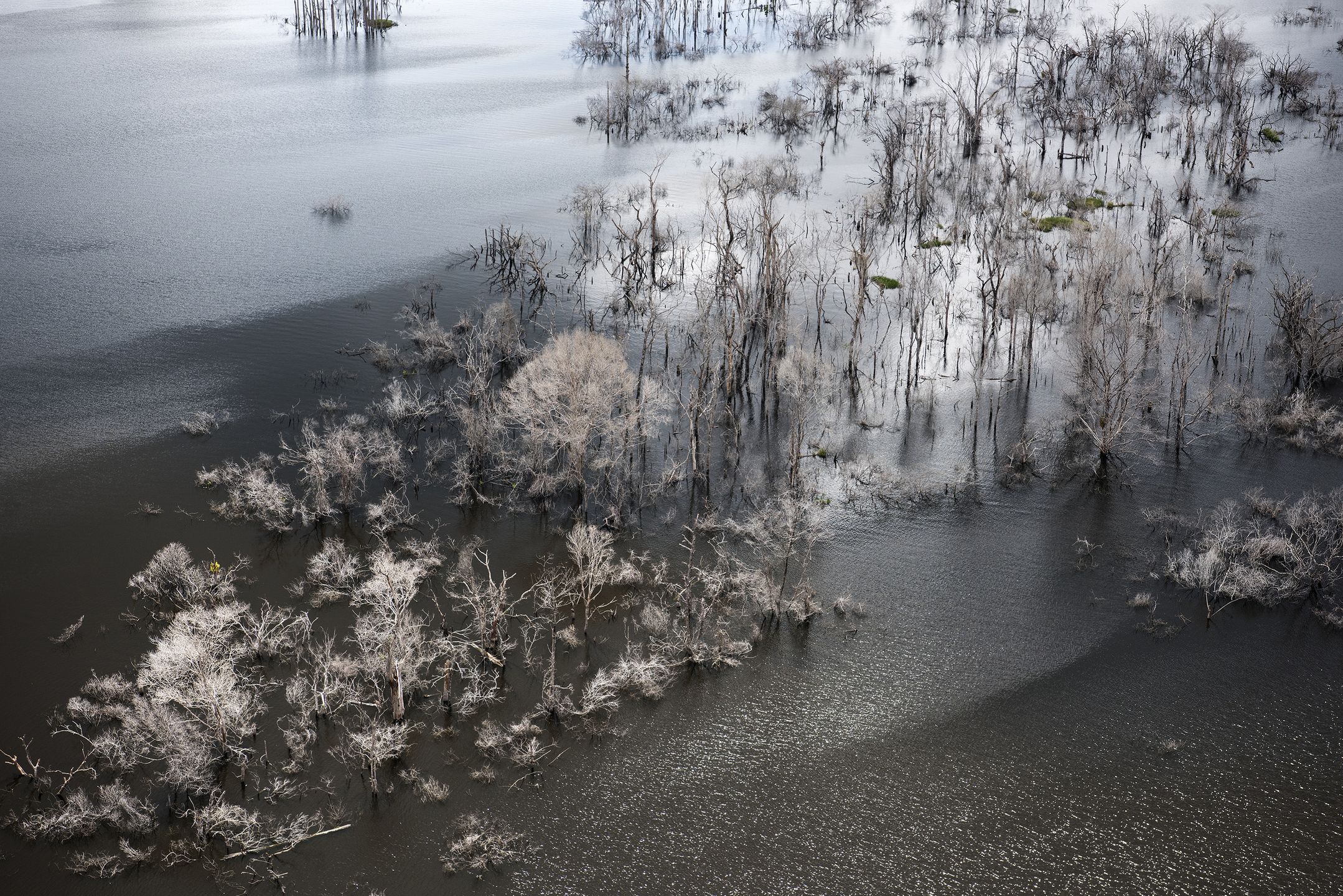 World Press Photo 2018 – znamy nazwiska nominowanych fotografów 25