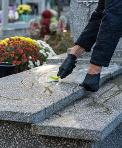 "Mamy ręce pełne roboty". Tyle można zarobić na sprzątaniu grobów