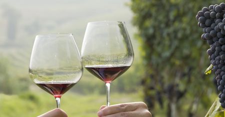 Kryzys alkoholowy we Francji. Zamienią wino w spirytus