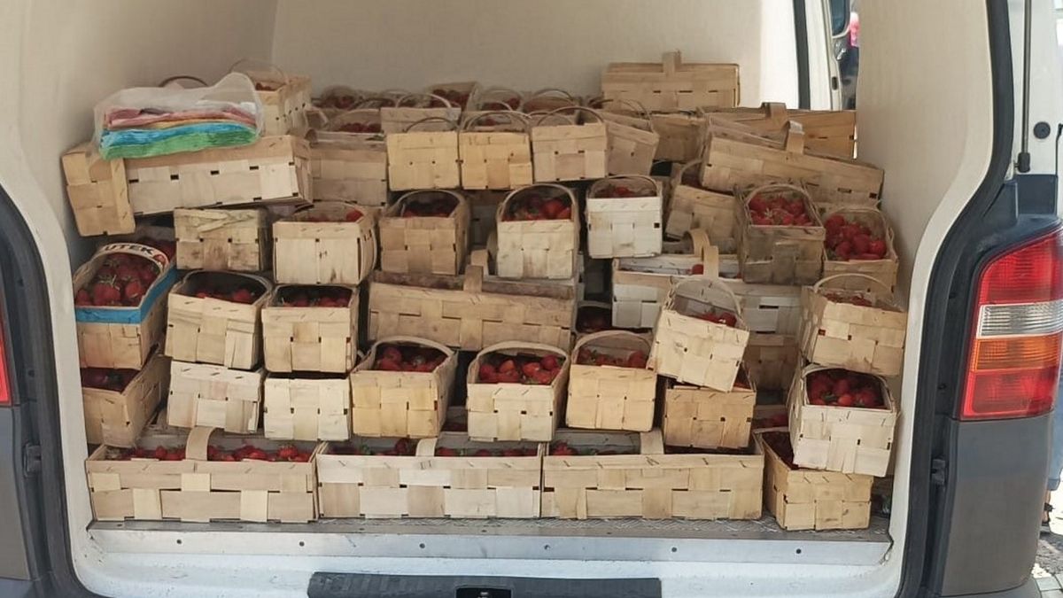 Zdjęcie ilustracyjne.