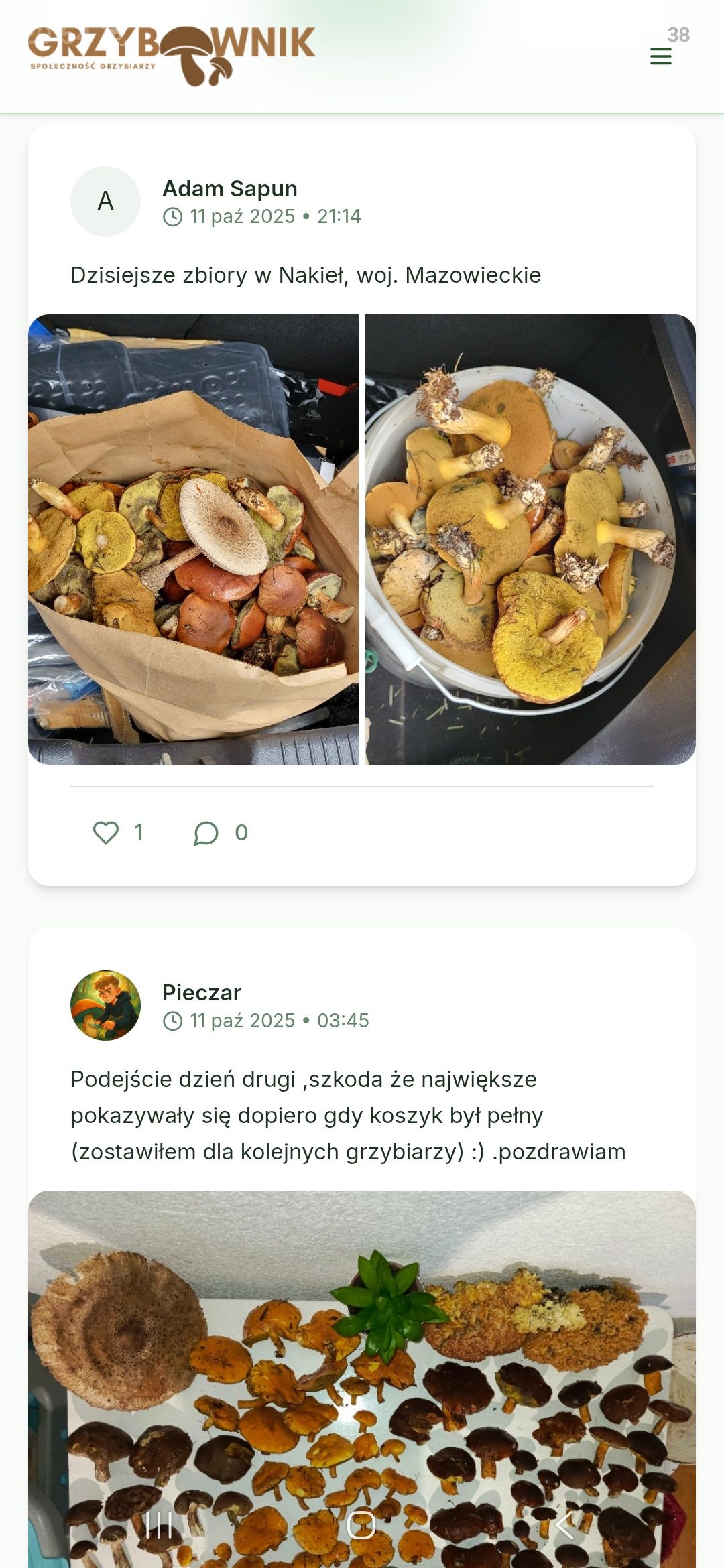 Grzybownik 