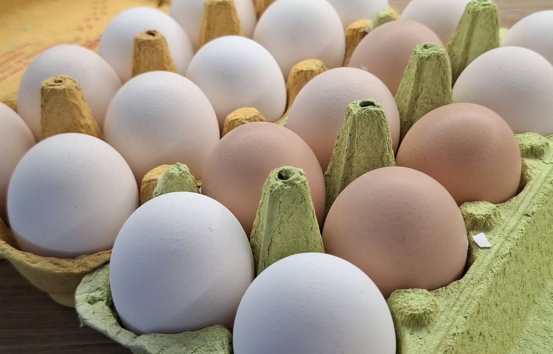 Wielu myśli, iż takie jajka są gorsze. Sprawdzamy, co oznacza kolor skorupki