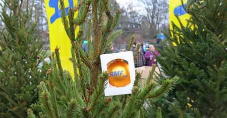 Lublin: RMF FM rozda w środę darmowe choinki